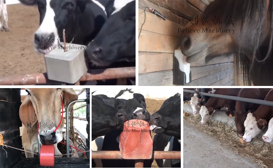 Application of Hydraulic Animal Licking Salt Machine